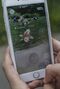 Nintendo's New Augmented Reality Game Pokemon Could Spark Nintendo Sales, Profit Rebirth