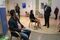 Boris Johnson Receives The AstraZeneca Vaccine