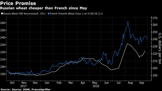 Europe Has Most to Lose From Russia's Expanding Wheat Empire