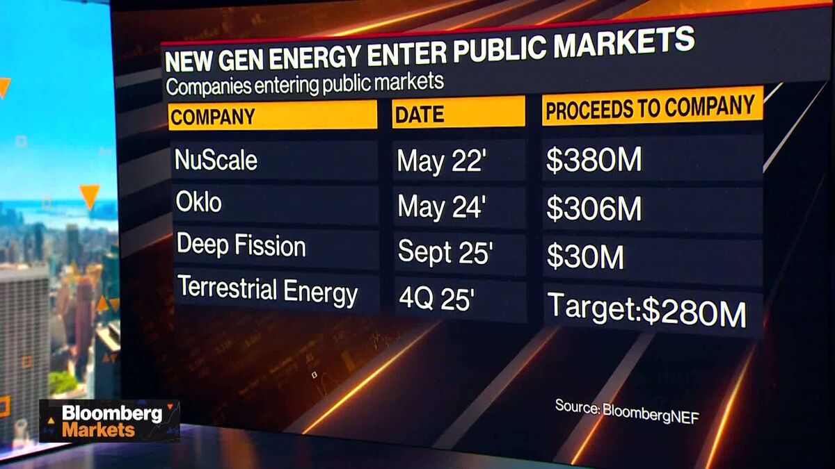 Nuclear Industry ‘Froth’ Will Fade in Next Year: Deep Fission CEO