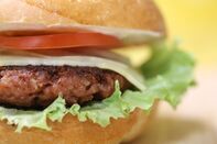Plant Based Burger