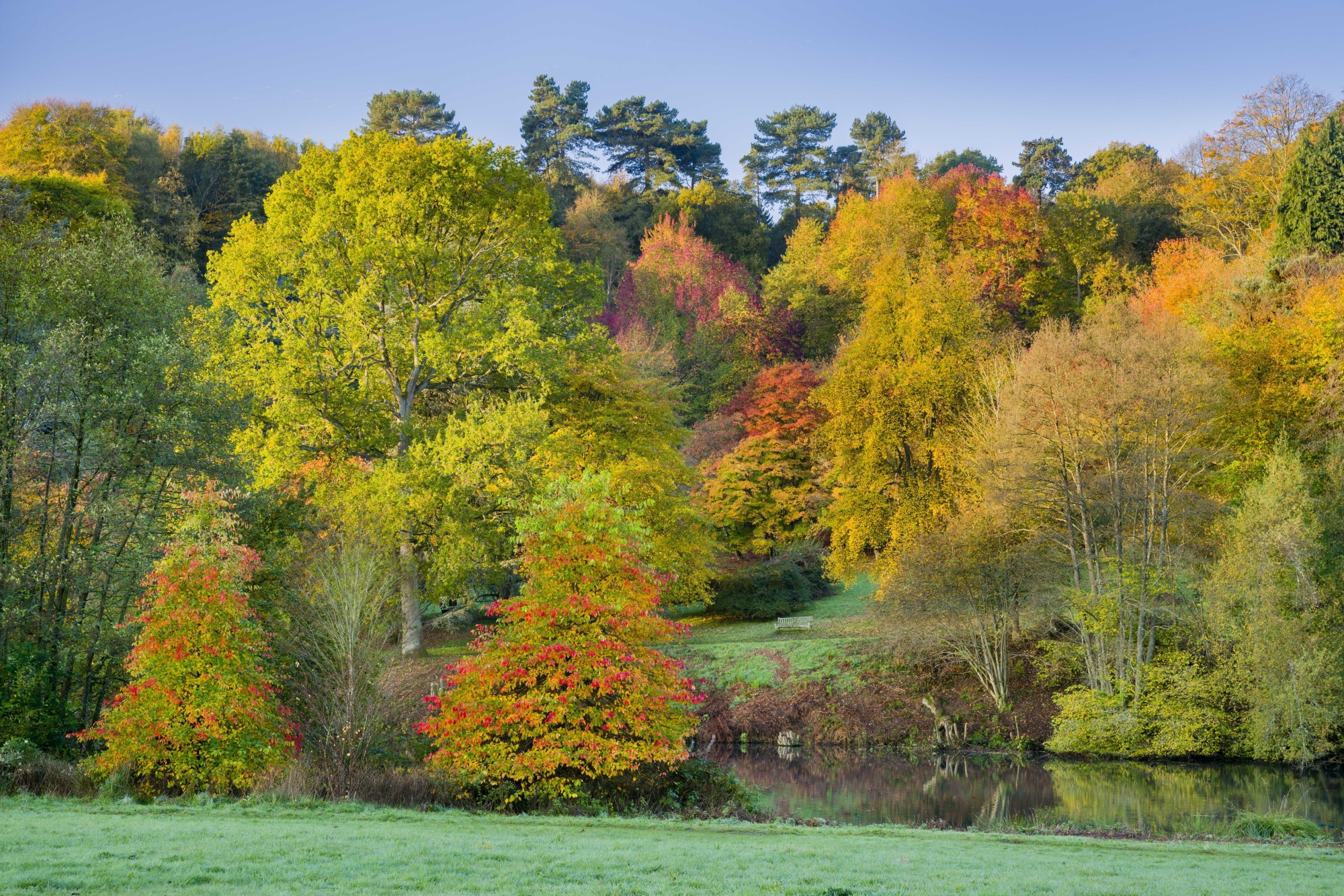 Expect Muted Autumn Colours After Summer's Drought, Nature Lovers Told