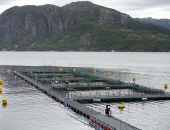 relates to Norway Salmon Farmers Slump After EU Antitrust Allegations