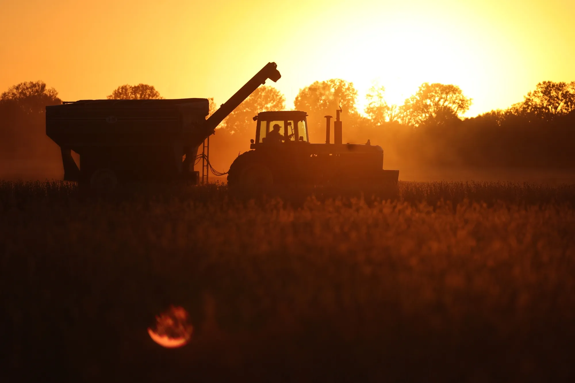 Farm output is slowing.
Photo: Scott Olson/Getty Images