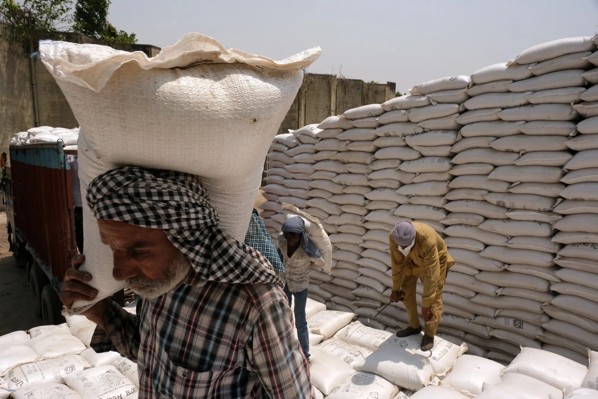 Prices for wheat have shot up since Russia’s invasion of Ukraine.