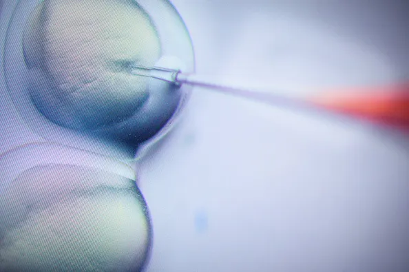 Crispr technology.