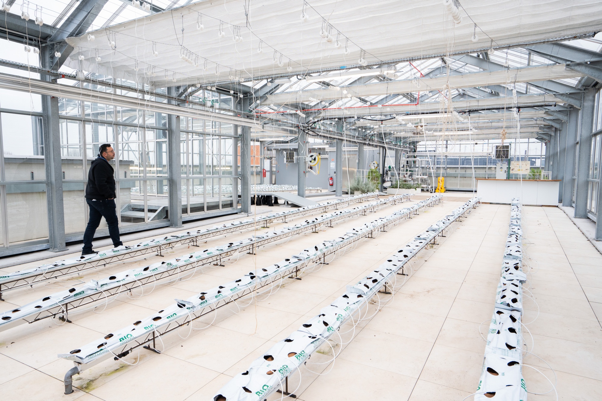 Vegetables grown with the heat generated by the cooling systems of the PA10 data center, operated by Equinix Inc., in Paris, France, on Thursday, Feb. 6, 2025. France's president Emmanuel Macron brings together government officials, business leaders, and the heads of international groups at the AI Action Summit next week. Photographer: Nathan Laine/Bloomberg