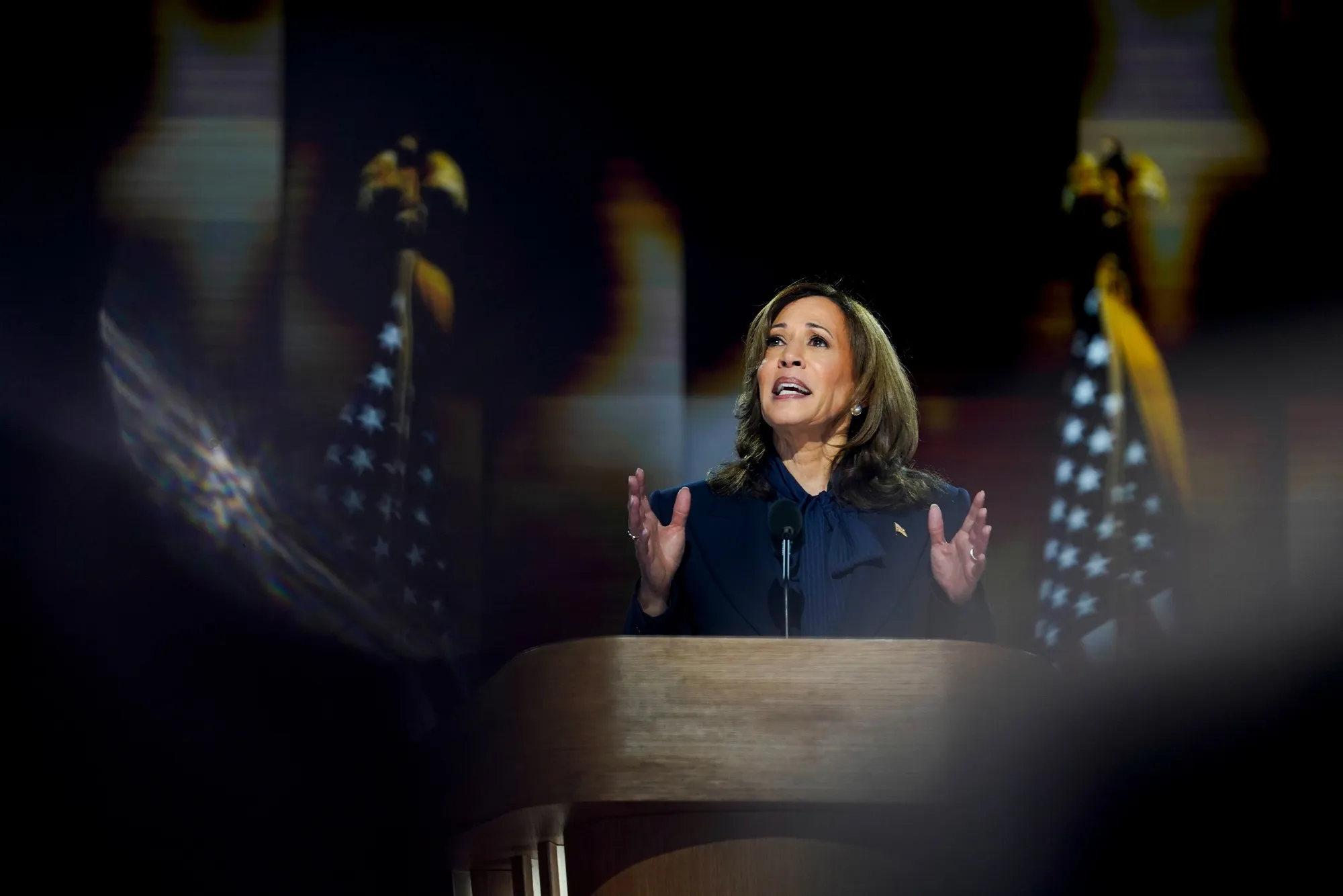 Kamala Harris speaks during the Democratic National Convention.