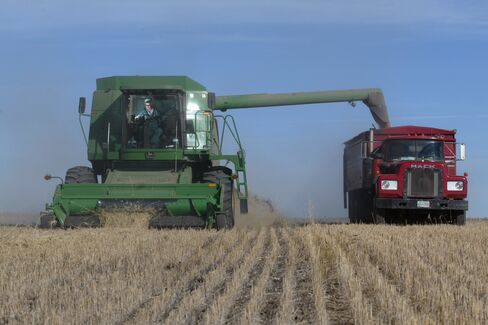 Canada Probes Easy Farm Loans Challenging World’s Soundest Banks