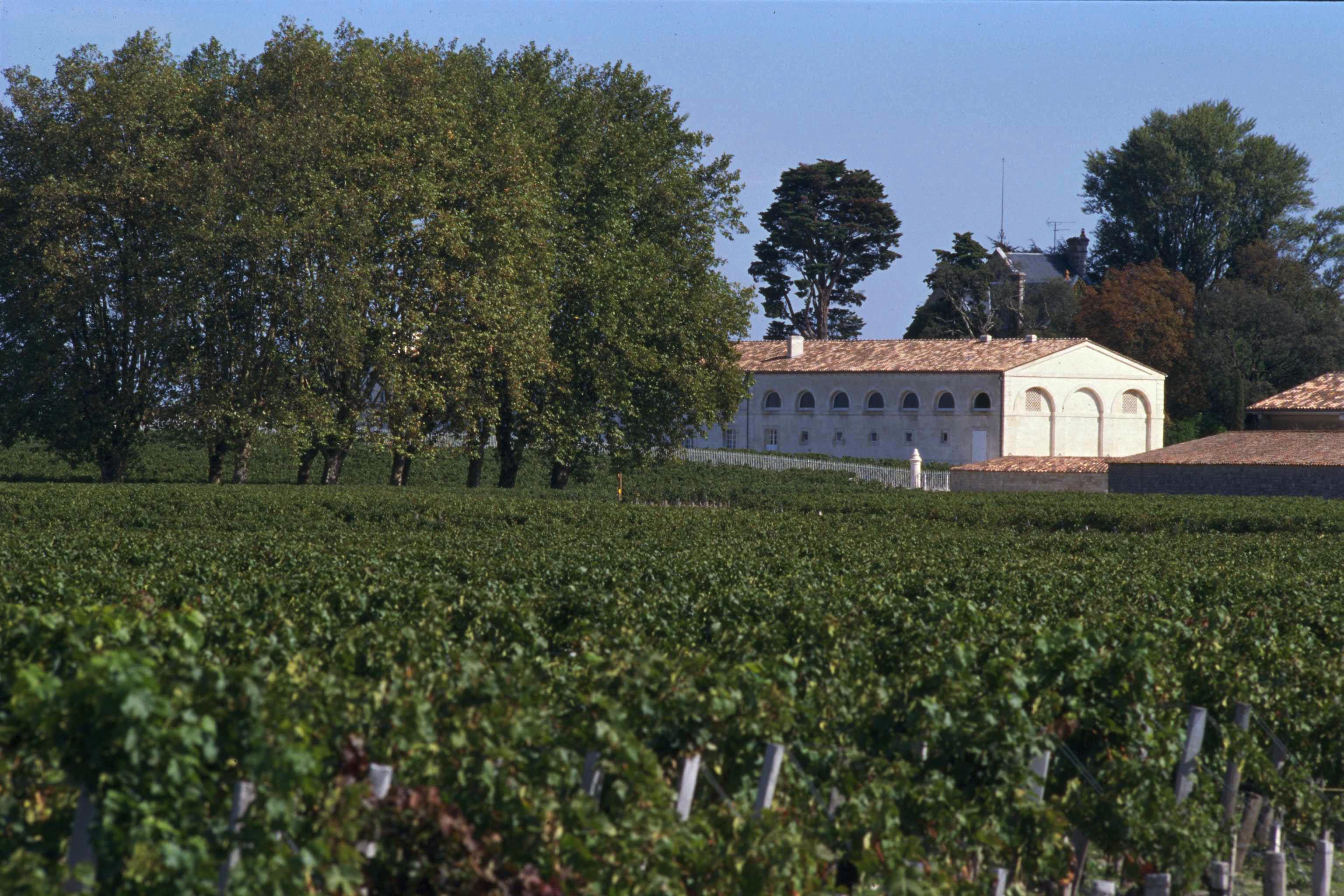 The vineyards and chateau of Mouton Rothschild stand in the Bordeaux region of France.