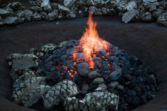 Fighting Environmental Degradation, One Bottle of Fancy Mezcal at a Time