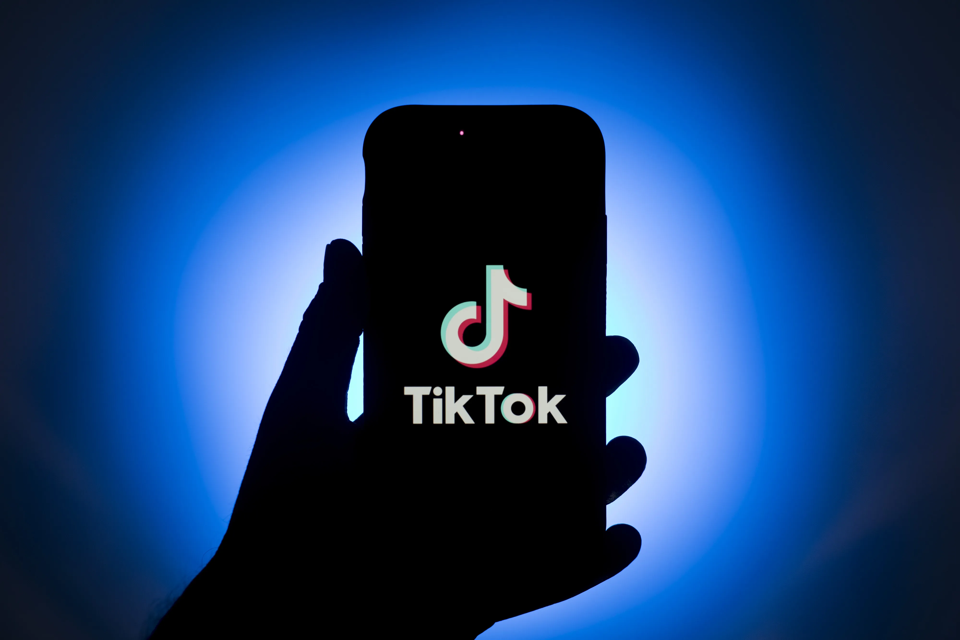 The TikTok app
