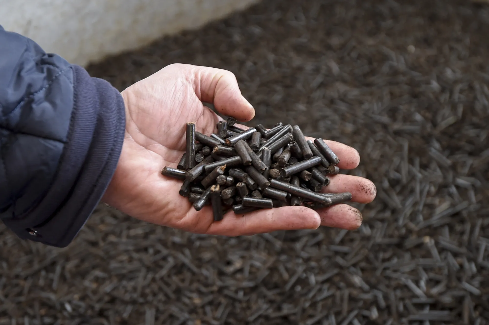 Biomass pellets.