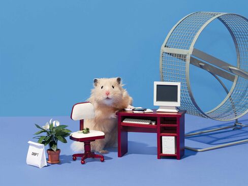 Teddy is an 8-month-old professional hamster model and actor who works about 25 hours per week.