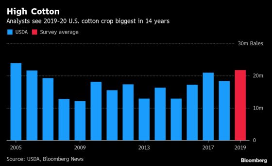 U.S. Cotton Production Expected to Reach Highest in 14 Years