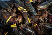 Maine Lobster Union Points the Way for Organizing Gig Economy Workers