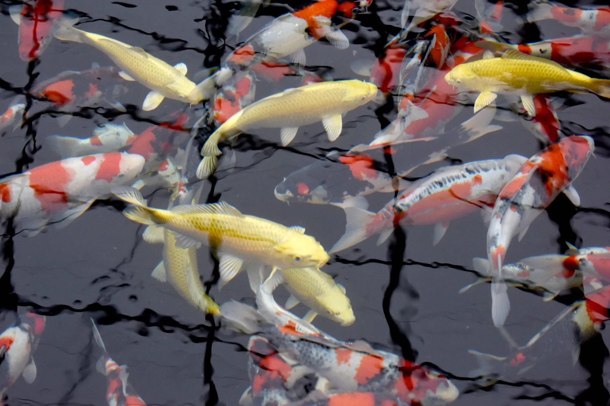Playing the long game.