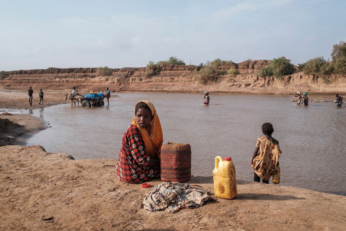 Driest Conditions in 40 Years Seen Continuing in Horn of Africa - Bloomberg