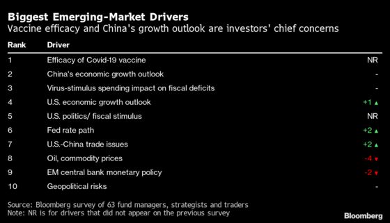 Emerging-Market Investors Predict Rally Will Roll On Into 2021