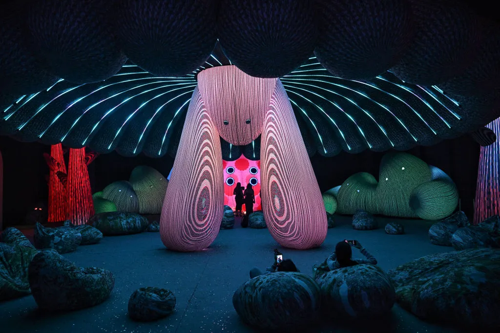 An immersive light and AI display by the Australian art studio Eness.