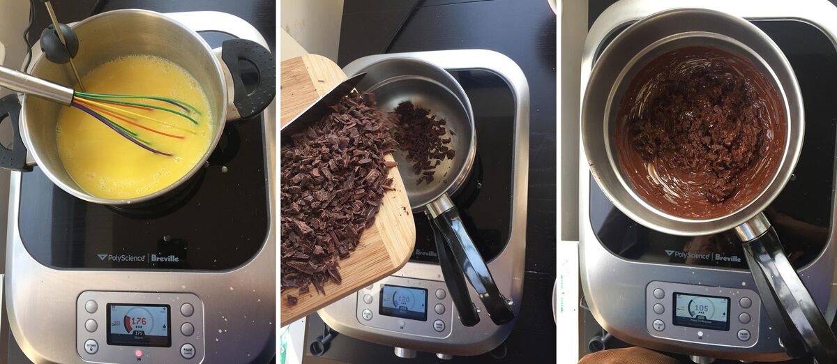Breville Control Freak Review Induction 