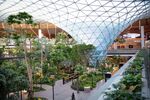 Hamad International Airport becomes an Orchard with curated, sustainable and Green Concourse