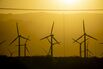 Rows Of Wind Turbines During Sunset