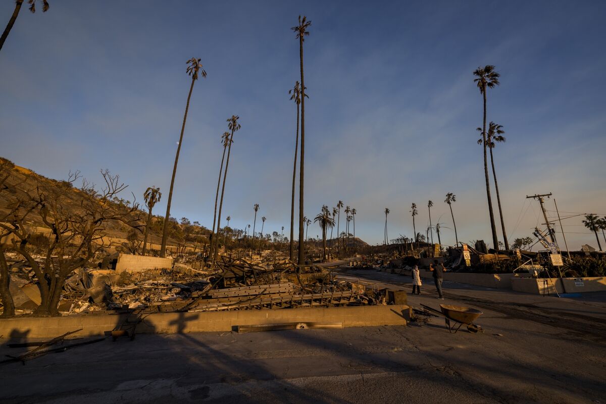 🟪"Riapre la Pacific Coast Highway: Un ritorno iconico in vista del Memorial Day dopo gli incendi"