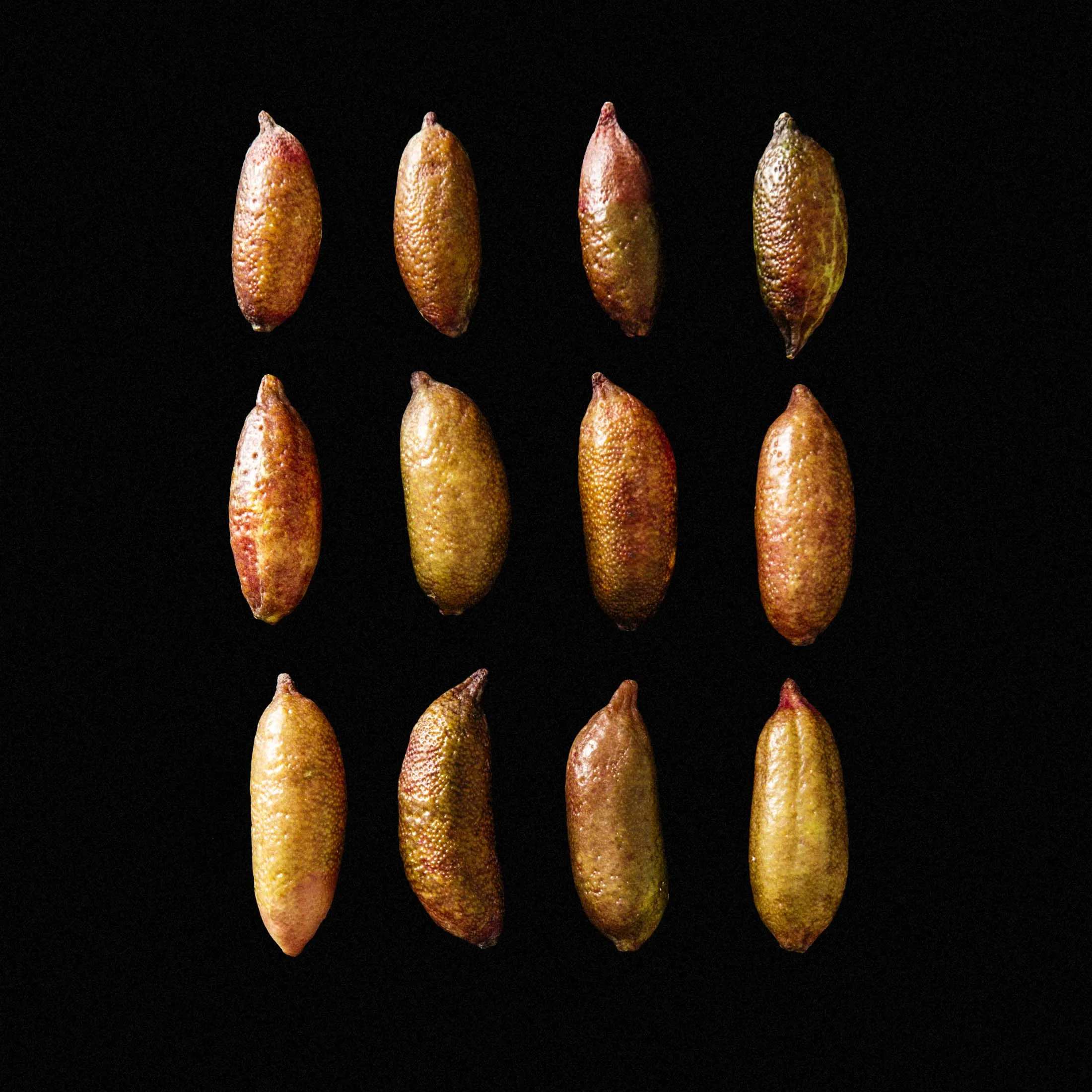 The dull exterior of the finger lime gives no hint of the delicacy inside; about 2 to 3 inches long, it lacks the spherical shape of more conventional citrus fruit (hence the name).