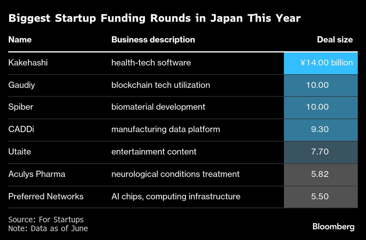 AI Startups Sakana, Turing Get Funds as Japan’s Attraction Grows