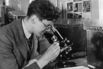 Using Microscope