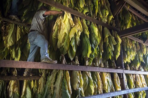 Tobacco Farm