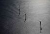 ENERGY_WIND_304031315_1-13_CMS