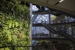 A staircase leads to four levels inside the Amazon.com Inc. Spheres in Seattle.