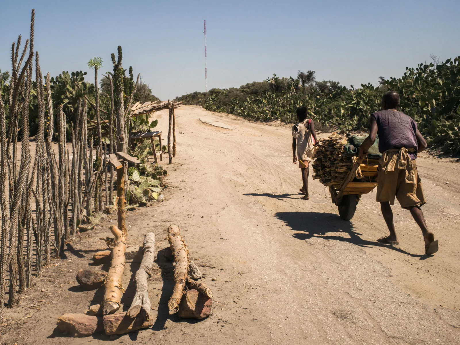 MADAGASCAR-DROUGHT-ENVIRONMENT-HUNGER