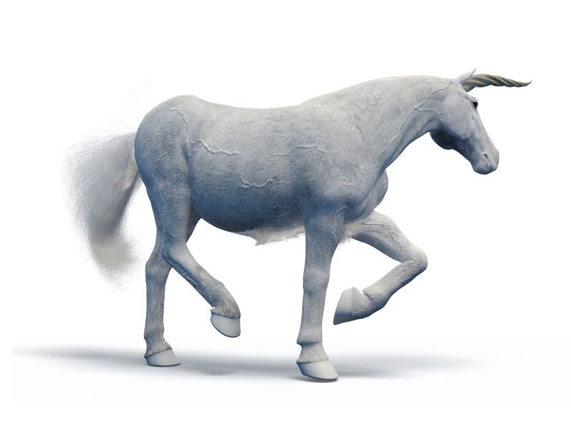 relates to There Are Now 1,000 Unicorn Startups Worth $1 Billion or More