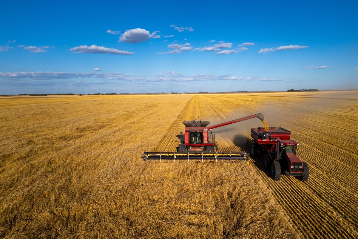 Wheat Extends Decline as Traders Digest Iran Ceasefire Talks