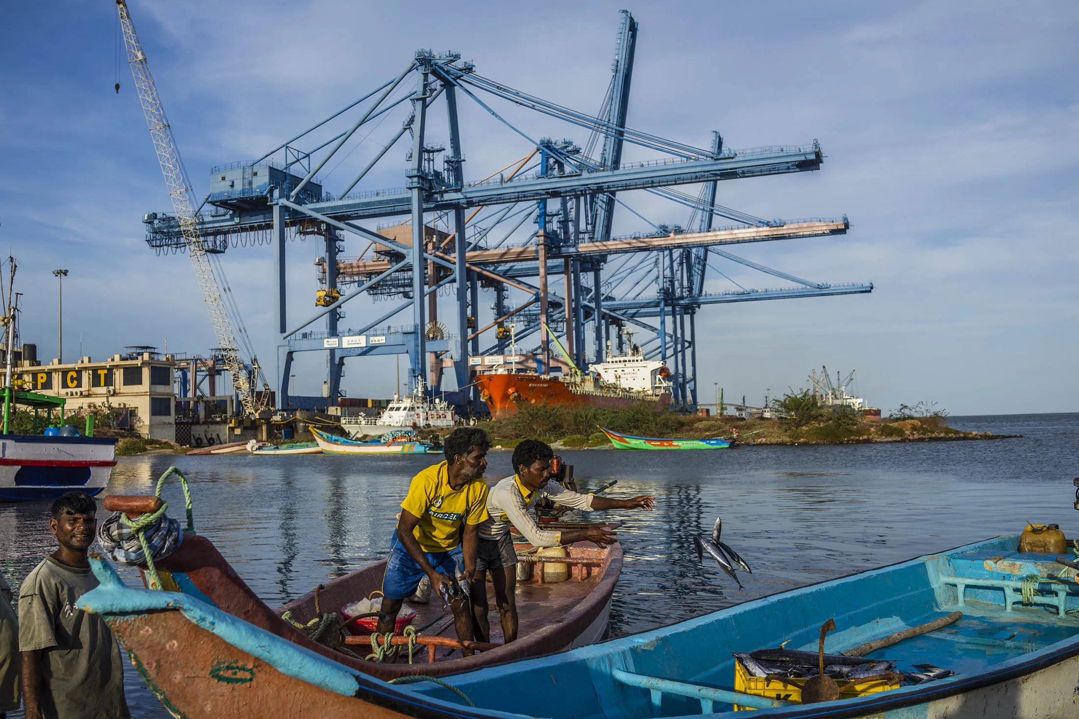 Fishermen throw freshly caught fish into a container sitting in a boat at the Kirshnapatnam port in Andhra Pradesh, India.
