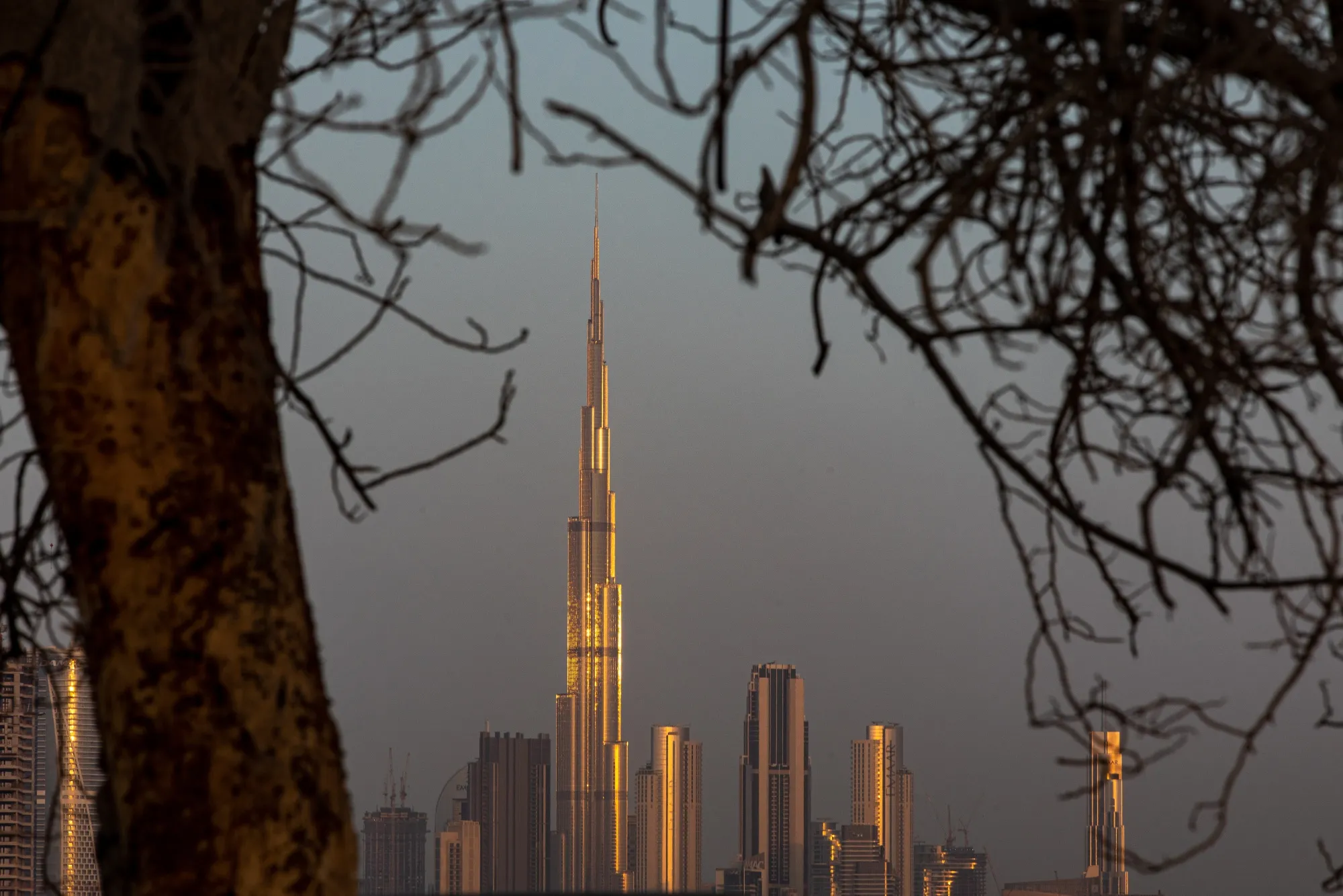 In the United Arab Emirates economic output is seen shrinking&nbsp;around 6%&nbsp;as well.