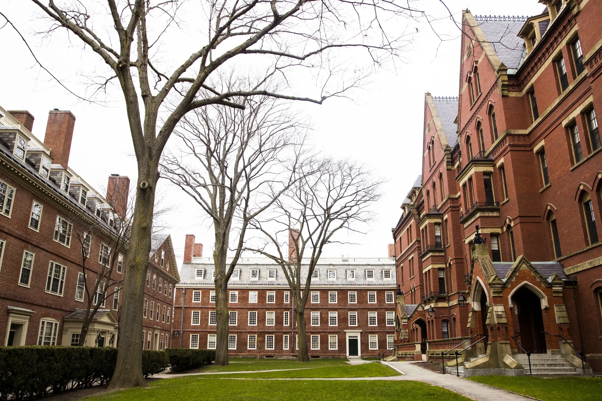 Harvard University campus in Cambridge, Massachusetts.