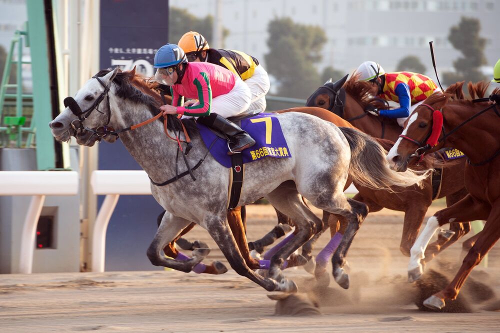 疾走する東京都競馬 コロナ禍も追い風にネットインフラ企業へ変貌 Bloomberg