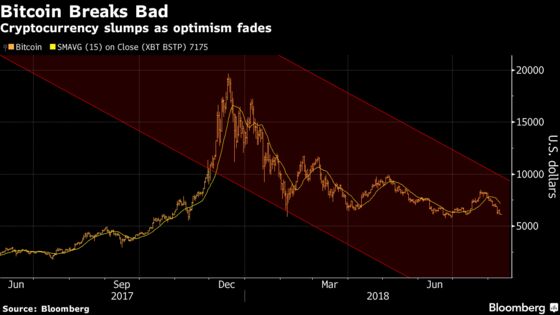 Winklevoss Undeterred by Wall Street's Slow Embrace of Crypto