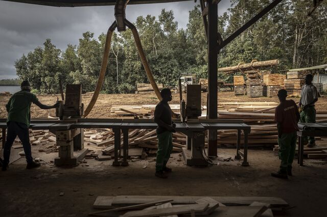 Men work at a processing plant managed by African Equatorial Hardwoods (AEH) in Mayumba on October 11, 2022.