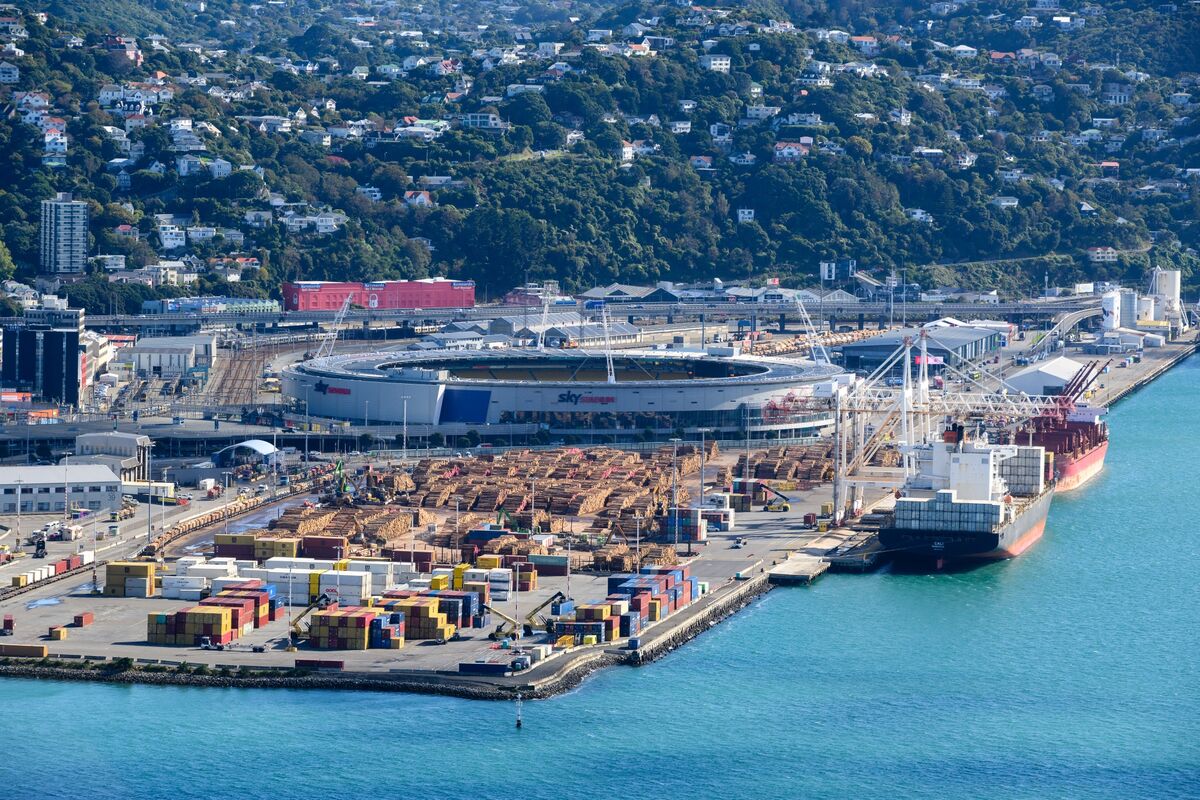 New Zealand thấy cơ hội cho nhiều công ty đầu tư vào Ấn Độ