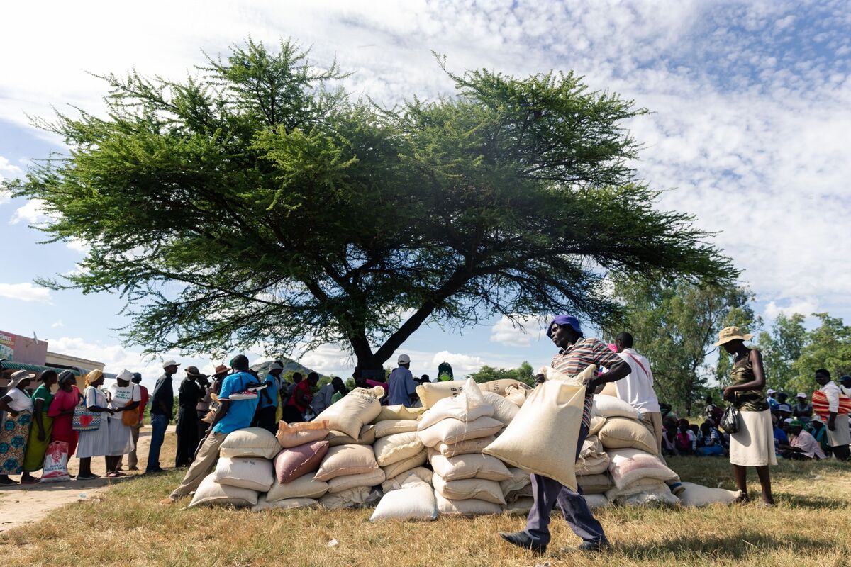 WFP’s Food Reserves for Zimbabwe to Run Out by February - Bloomberg