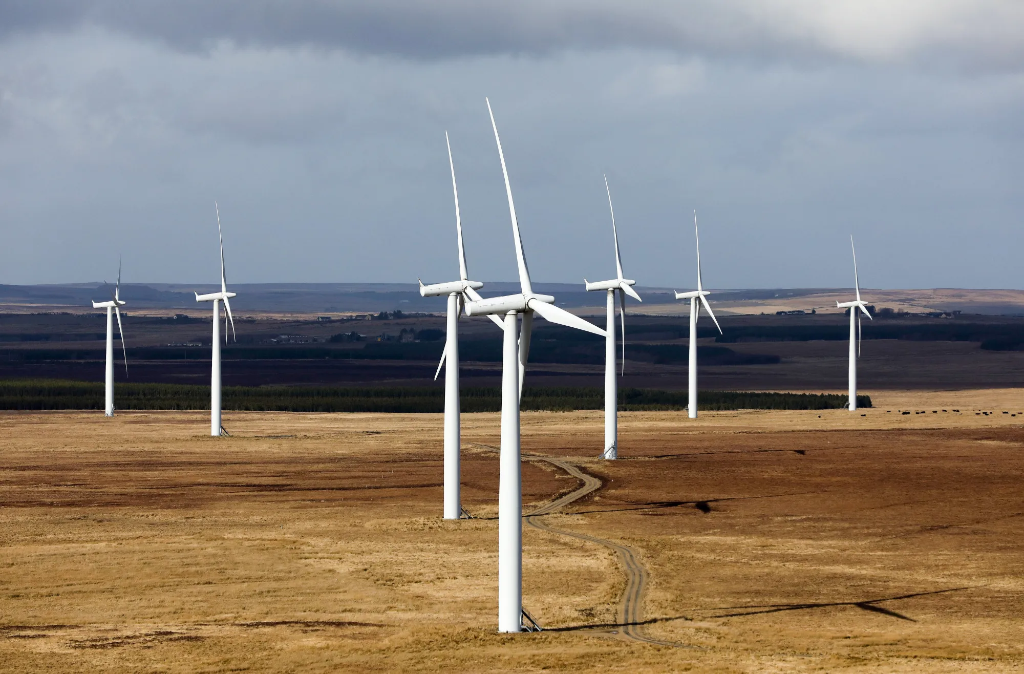 A wind farm in Scotland