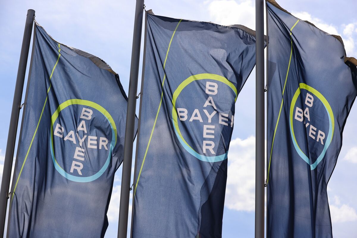 Bayer Shares Drop After Court Review Announcement