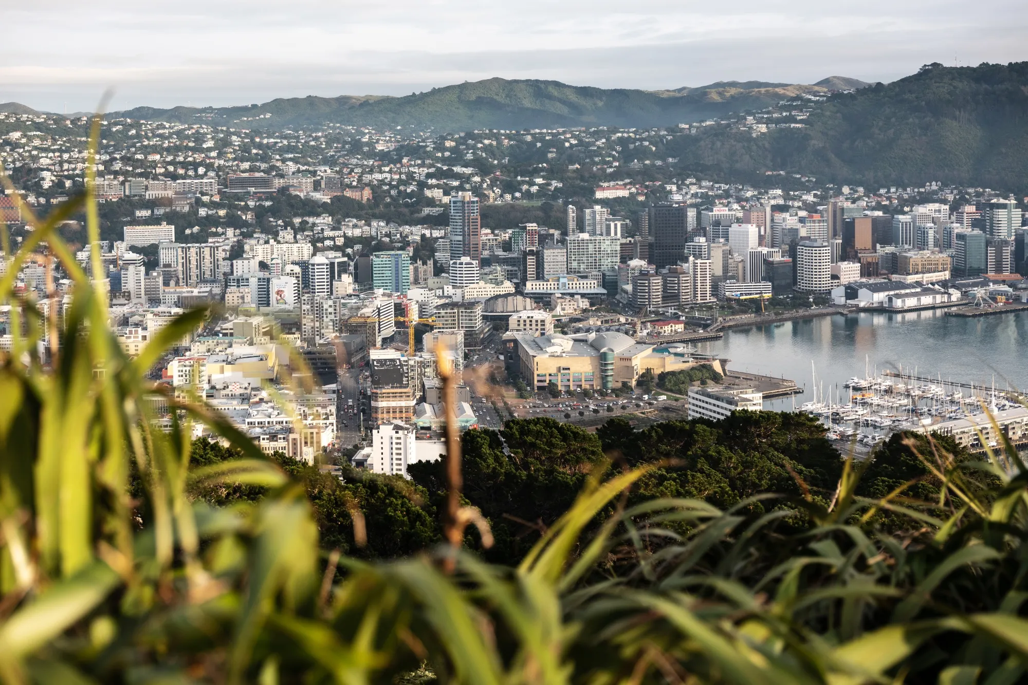 New Zealand&nbsp;is looking for foreign capital to spark economic growth and fund new infrastructure.