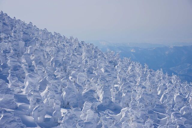 蔵王連峰の樹氷「スノーモンスター」（山形県）