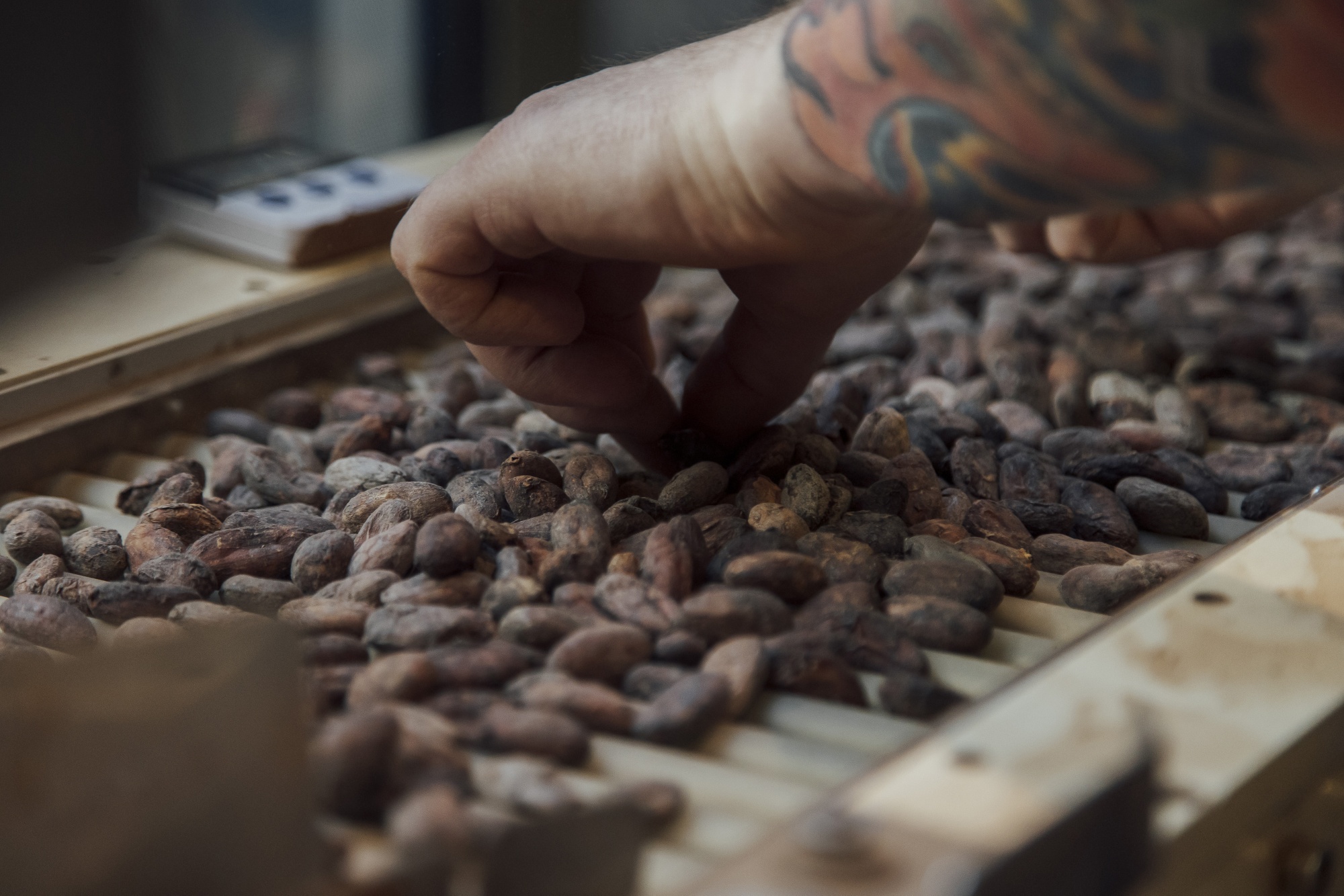 Cocoa Futures Prices Drop After Rally in Volatile Market Bloomberg